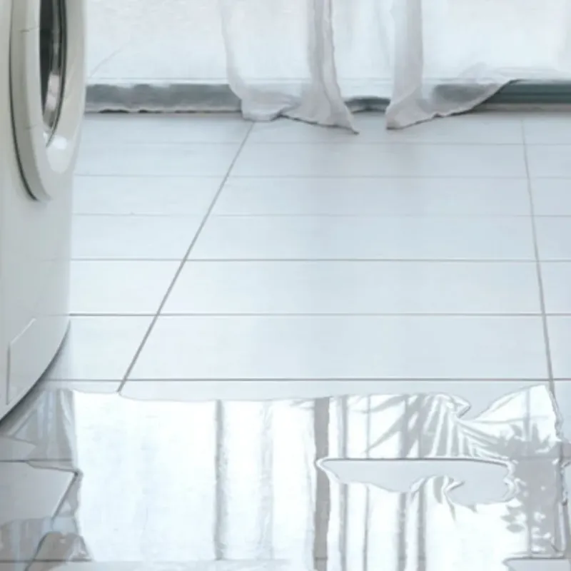 Appliance Leak Cleanup in Florence, WI
