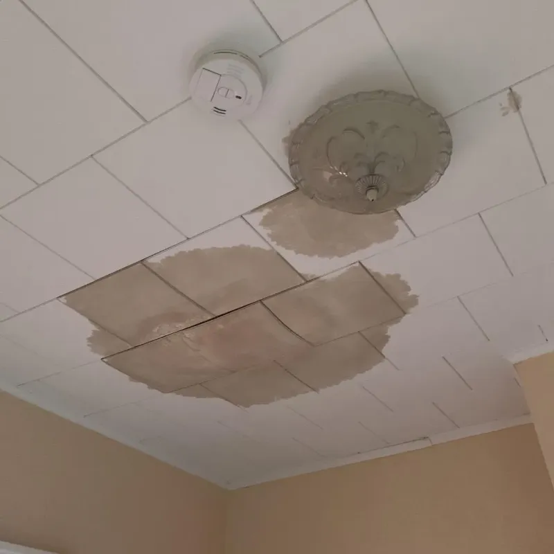 Ceiling Water Damage Repair in Florence, WI