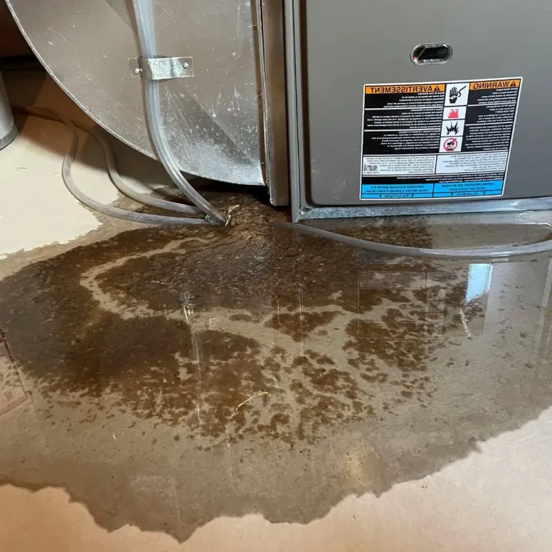 Pipe Burst and Leak Restoration in Florence, WI